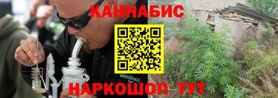шишки Кингисепп