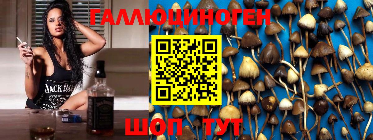 Галлюциногенные грибы MAGIC MUSHROOMS Кудрово