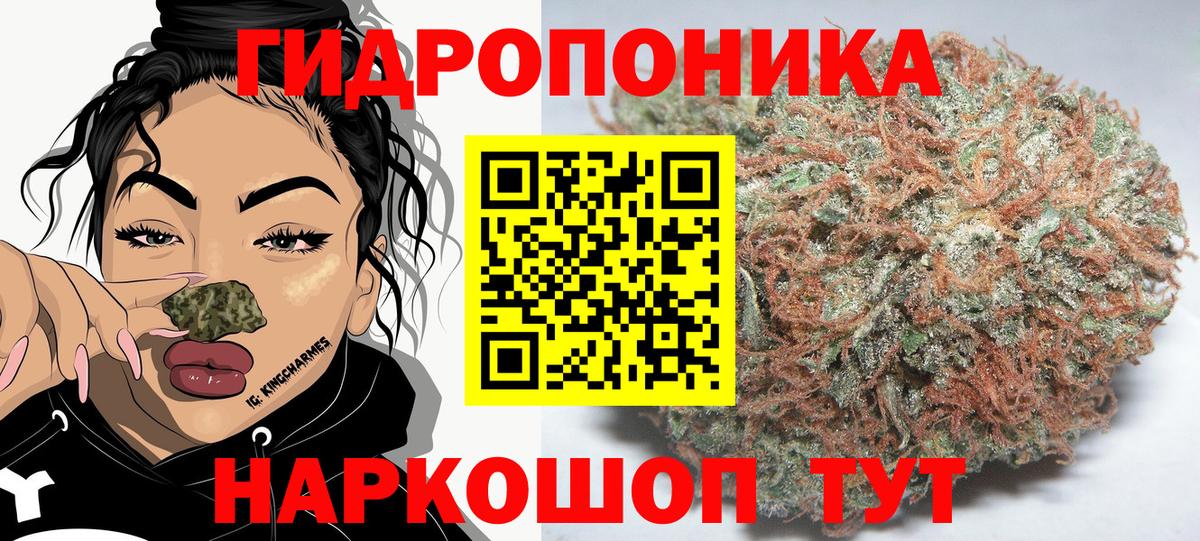 Кудрово  Канабис конопля  Бошки Шишки планчик  Вход с VPN  Бошки марихуана сатива 